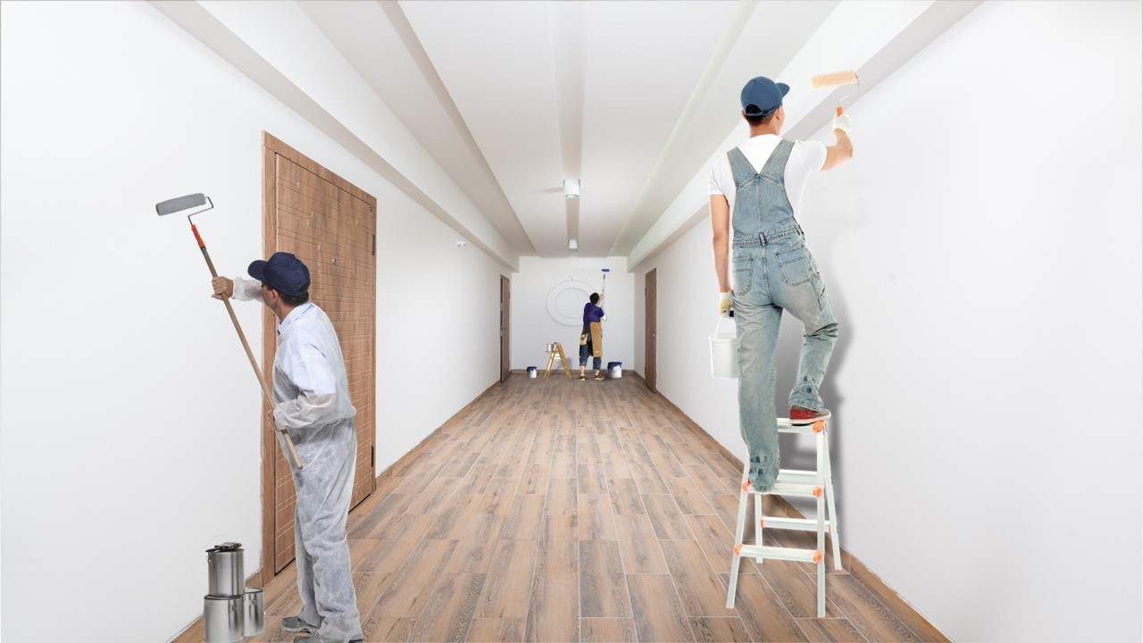 Interior painting feature wall NSW