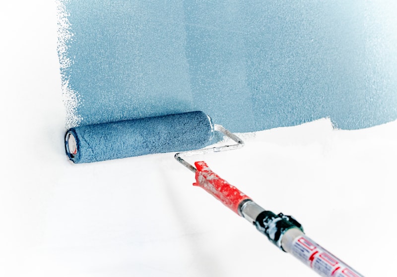 Professional painter NSW